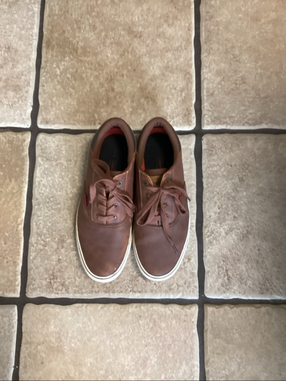 Levi brown leather lace up sneakers
